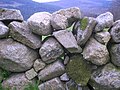 Murette formée par une épaisseur de pierres arrondies simplement empilées à sec à Sainte-Feyre (Creuse). Le bétail ne s'en approche pas.