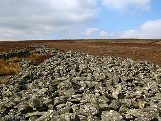Mutiny Stones on Byrecleugh Ridge. Mutiny Stones, Byrecleugh Ridge - geograph.org.uk - 375401.jpg