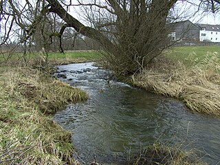 Northern Regnitz River in Germany