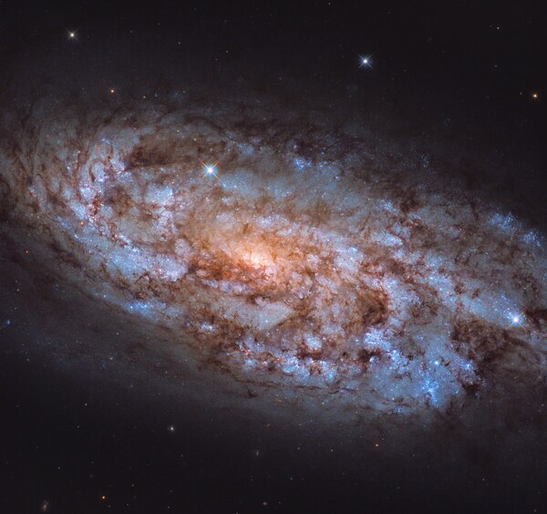 Telescope hubble images. Спиральная Галактика NGC 3521. Галактика Млечный путь телескоп Хаббл. Неправильная Галактика NGC 4449. Снимок галактик с телескопа Хаббл.