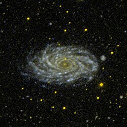 NGC 2336 GALEX WikiSky.jpg