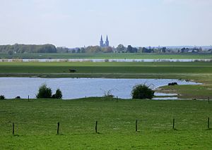 Blick über den südlichen NSG-Abschnitt bei Bislich, im Hintergrund der Rhein und Xanten (2013)