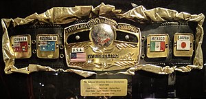 NWA World Heavyweight Championship belt 2012.jpg