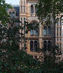 English: Detail of the southern facade of the Natural History Museum in London, 2020.