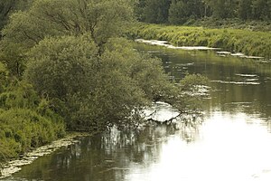 Lippeaue nature reserve from Wethmar to Lünen (June 2014)