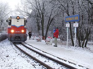 ブダペスト子供鉄道の列車