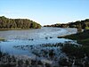 Estuary of River Irwin