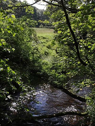 <span class="mw-page-title-main">Oare Water</span> River in Somerset, England