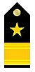 Офицер Insignia ICG 06.jpg