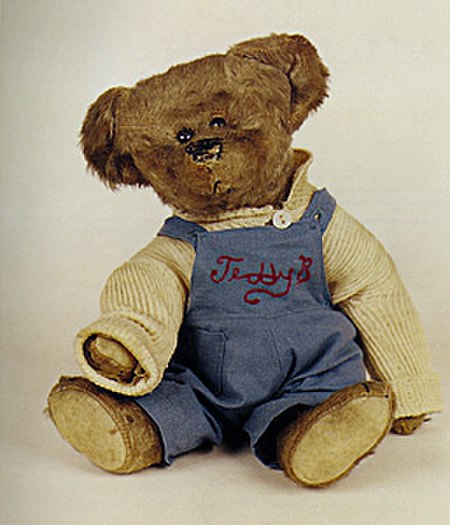 Beruang teddy