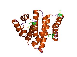 <span class="mw-page-title-main">EIF-W2 protein domain</span>