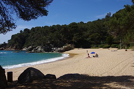 PLATJA TREUMAL LLORET 4