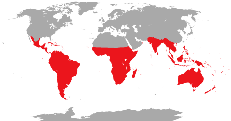 File:Parrot range.png