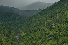 Periyar Tiger Reserve.jpg