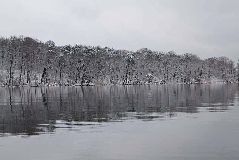 File:Pfaueninsel from Düppeler Forst with snow 2021-01-30 15.jpg