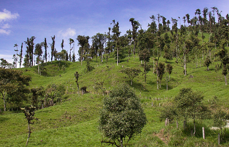 File:Pichincha1a.jpg