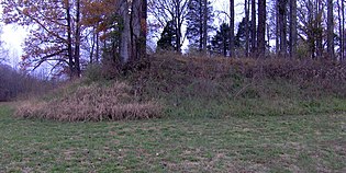 The southwest corner of Mound 28 Pinson-mounds-mound28.jpg