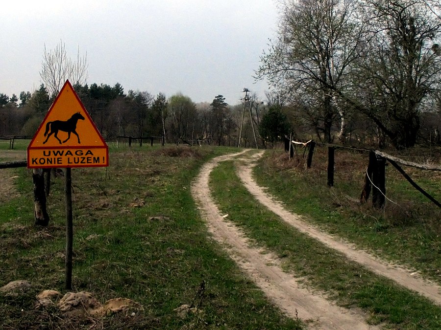 Lubaczów County page banner