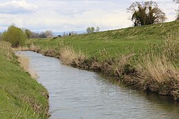 PonsaccoCascinaRiver4.jpg