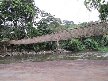 Pont de liane