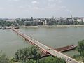 Pontonbrugg übber d Donau z Novi Sad, Serbiè