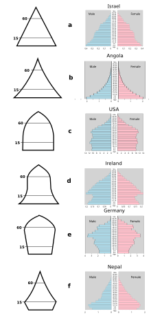 Population pyramids of developed and developing nations, showing how increased lifespan and changes in fertility alter the population. Each bar represents an age category and its percent of the total population, with males to the left and females to the right. Population pyramid forms.svg