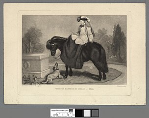 Princess Beatrice on Donald 1865