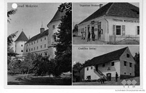 Postcard of Jesenice, Brežice.jpg