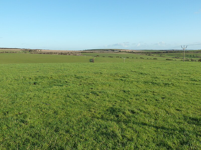 File:Power lines across downland - geograph.org.uk - 2753214.jpg