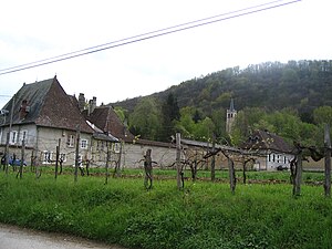 Habiter à Pressins