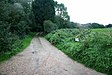 Private Road, Salle - geograph.org.uk - 304266.jpg