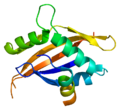 Thumbnail for Nuclear receptor coactivator 1