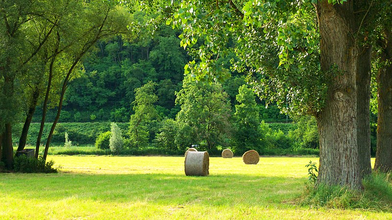 File:Quartet - panoramio.jpg