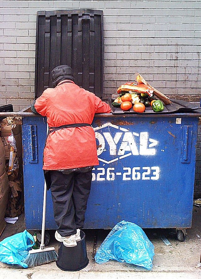 Emptied Garbage Bin. Image & Photo (Free Trial)