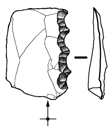 Denticulate tool