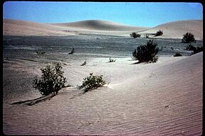 Rays Valley Wilderness Dunes.jpg