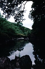 The Nith near Carron Bridge.