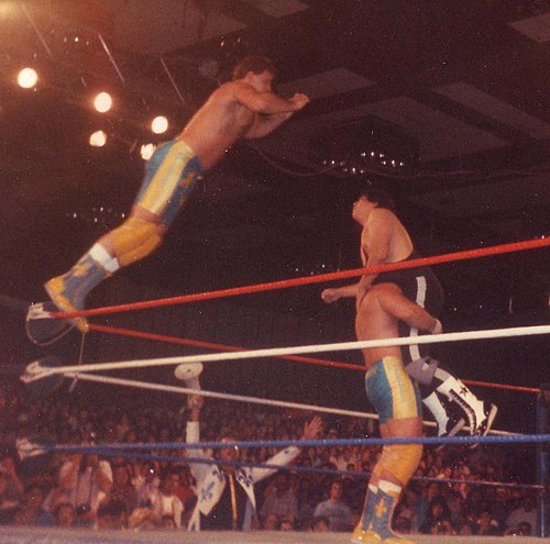 The Fabulous Rougeaus performing a double team maneuver (March 1989)