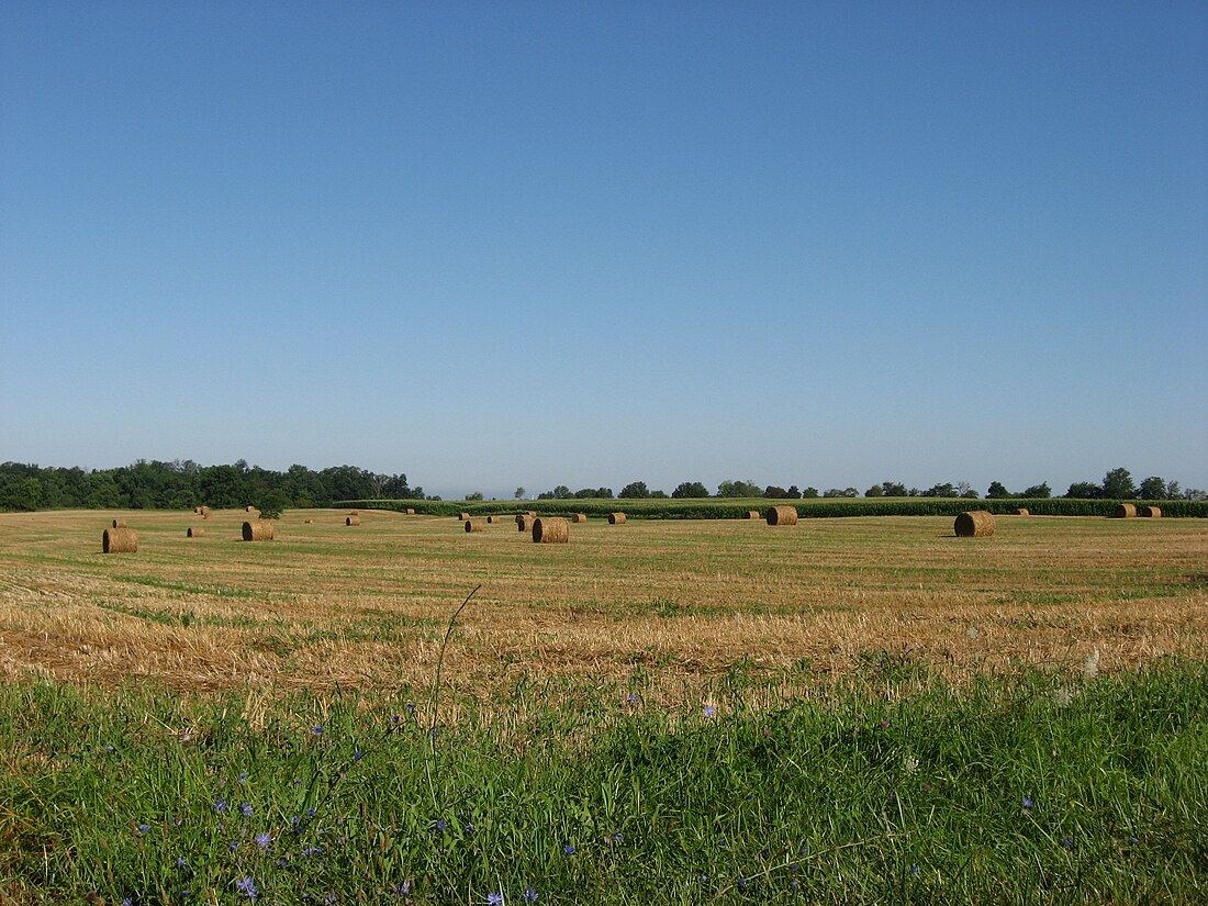 Xã Saltcreek, Quận Pickaway, Ohio