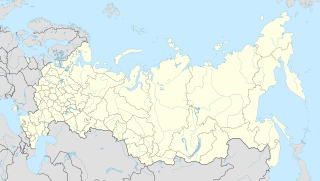 Богородск,  Нижегородская область, Россия