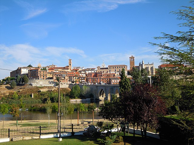 Southern Tordesillas in September 2012.