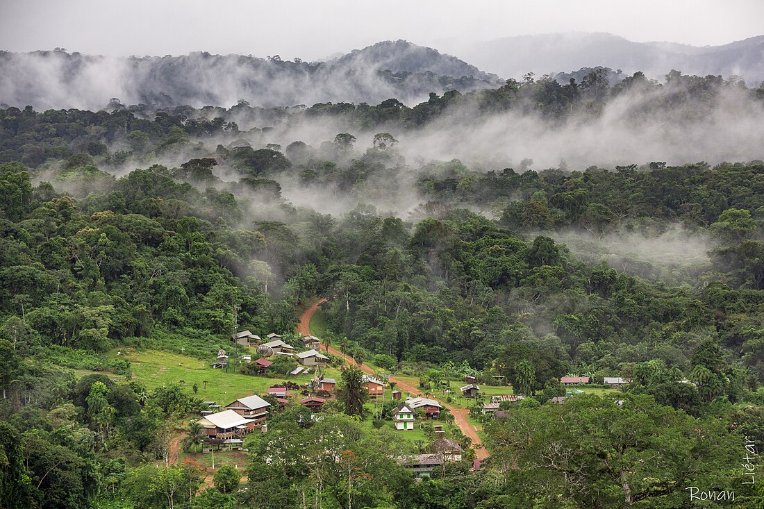 Saül, French Guiana