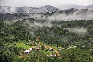 Vista de la localidad de Saül, Guayana Francesa