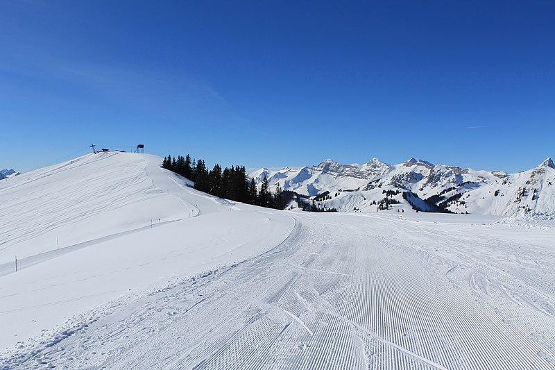 File:Saanenmöser - Plani - Rellerli - panoramio (52).jpg