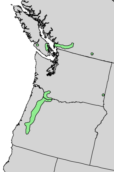 File:Salix sessilifolia range map 4.png