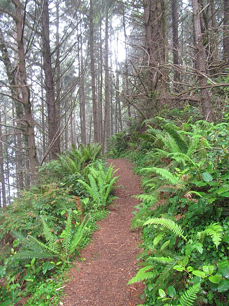 File:Samuel H. Boardman State Scenic Corridor - Oregon - 7405313272.jpg