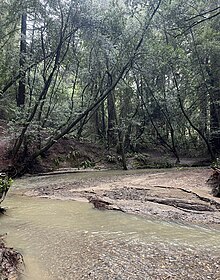 Clear Creek in the Redwoods