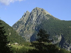 Seehorn0001.jpg