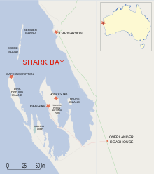 Map of Shark Bay area showing Dirk Hartog Island and Cape Inscription Shark Bay.svg