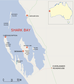 Shark Bay kartta.  Kaksi saarta sijaitsevat Dirk Hartog -saaren pohjoispuolella.  Dorren saari on eteläisempi, Bernier pohjoisempi saari.